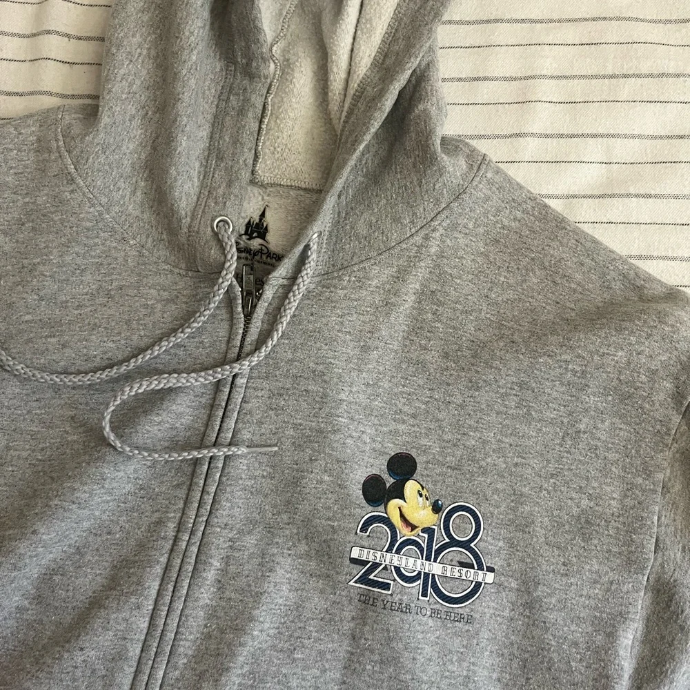 Disneyland hoodie - Picture 1 of 4